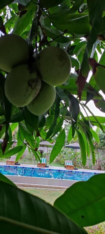 Mango Tree Villa Bentota Exterior photo